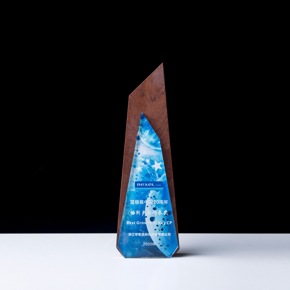 藍(lán)格賽中國20年協(xié)同產(chǎn)品增長獎(jiǎng)